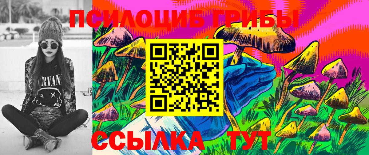 Галлюциногенные грибы MAGIC MUSHROOMS  Вход с VPN  Калининград  Псилоцибиновые грибы GOLDEN TEACHER 